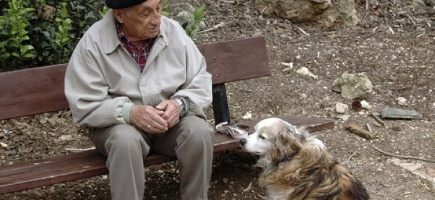 Homme retraite adopte chien sans abri1